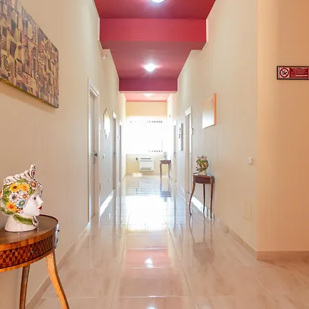 Syraka Lr Collection 3*